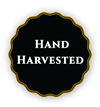 Hand_Harvest_Icon-01