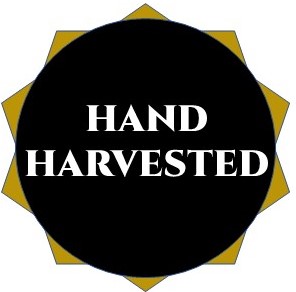 HAND_HARVESTED_br